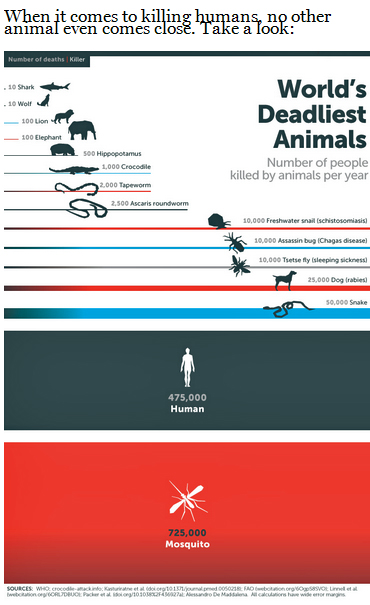 Bill Gates Deadliest Animal Mosquito Graphic