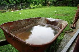 standing water, forgotten behind your garden shed serves as the perfect breeding ground for thousands of mosquito eggs!