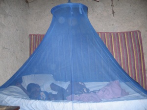 Insecticide-treated-bed-net-prevent-malaria